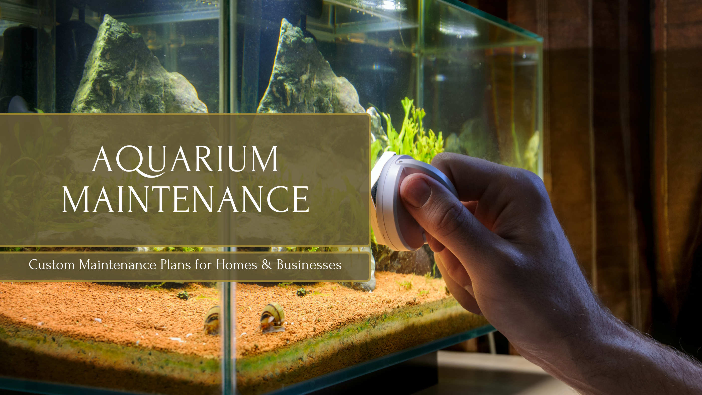 Stress-Free Aquarium Maintenance in Jacksonville, FL – Let NEA Handle ...
