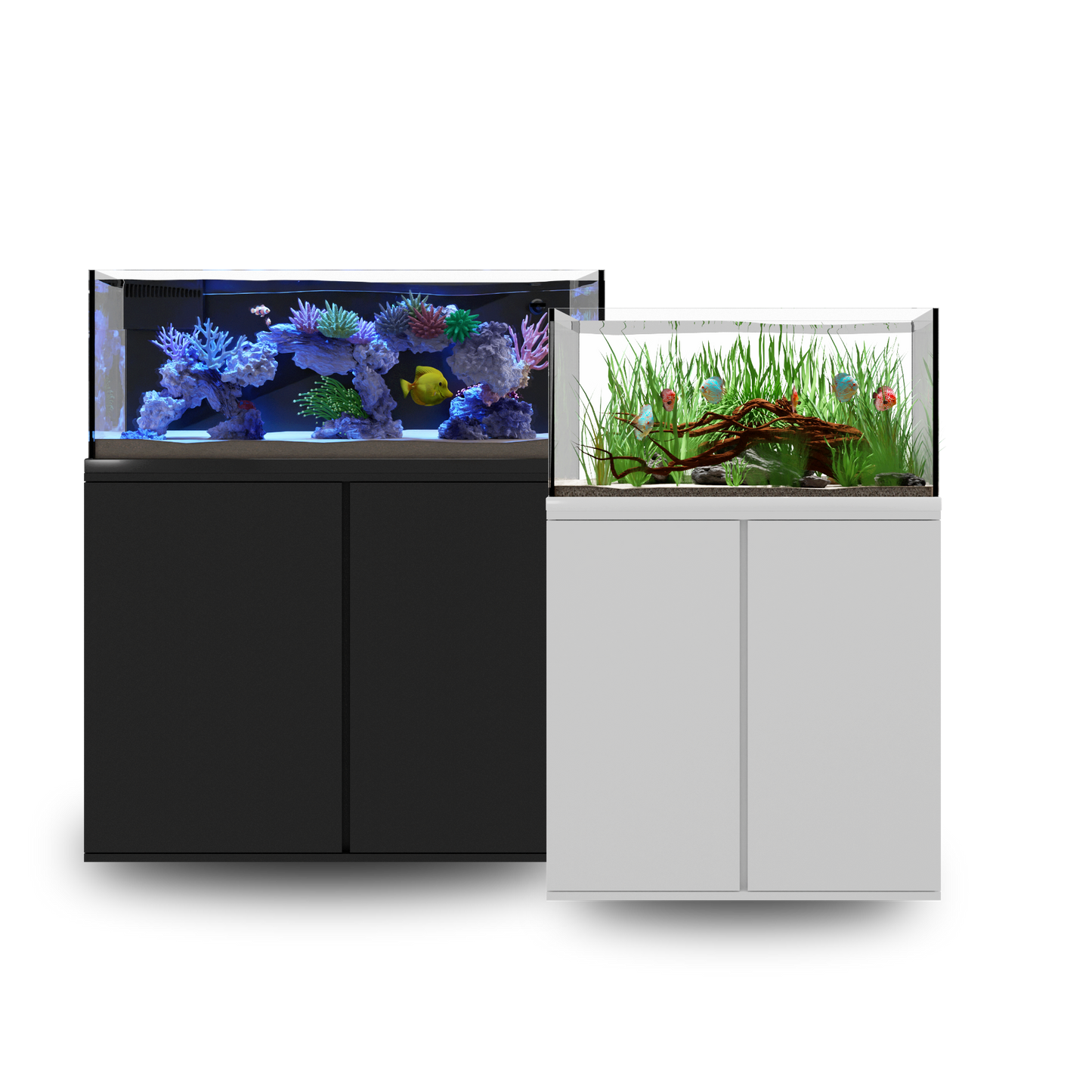 Fish Tank