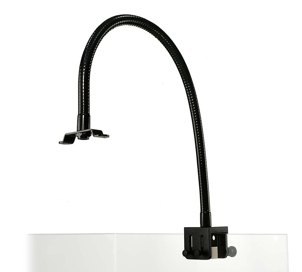 Southside Jacksonville