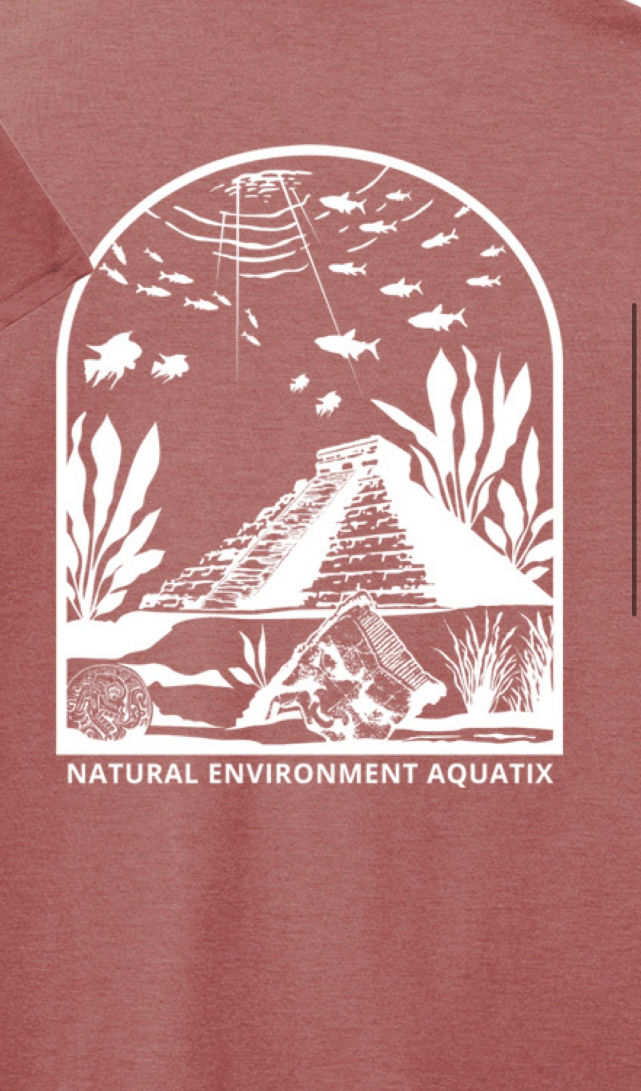 Natural Environment Aquatix Mayan Ruins T-shirt
