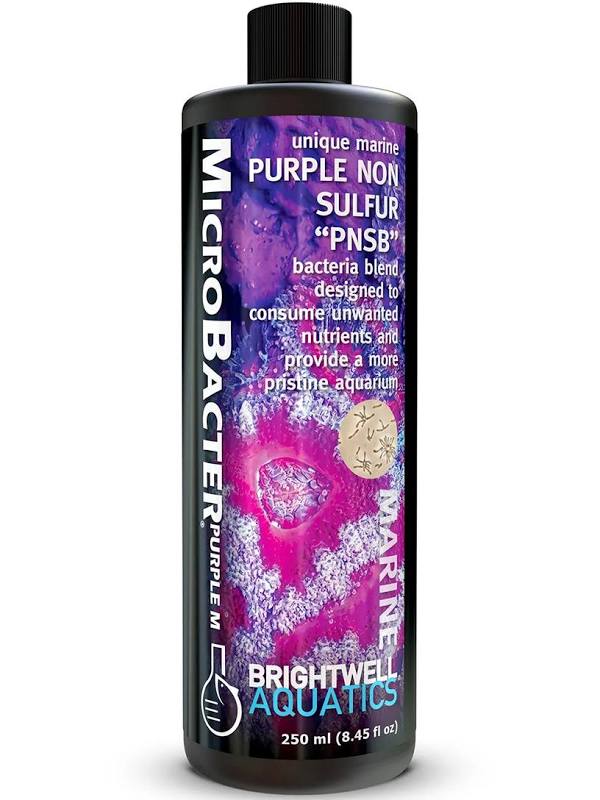 Brightwell MicroBacter PurpleM
