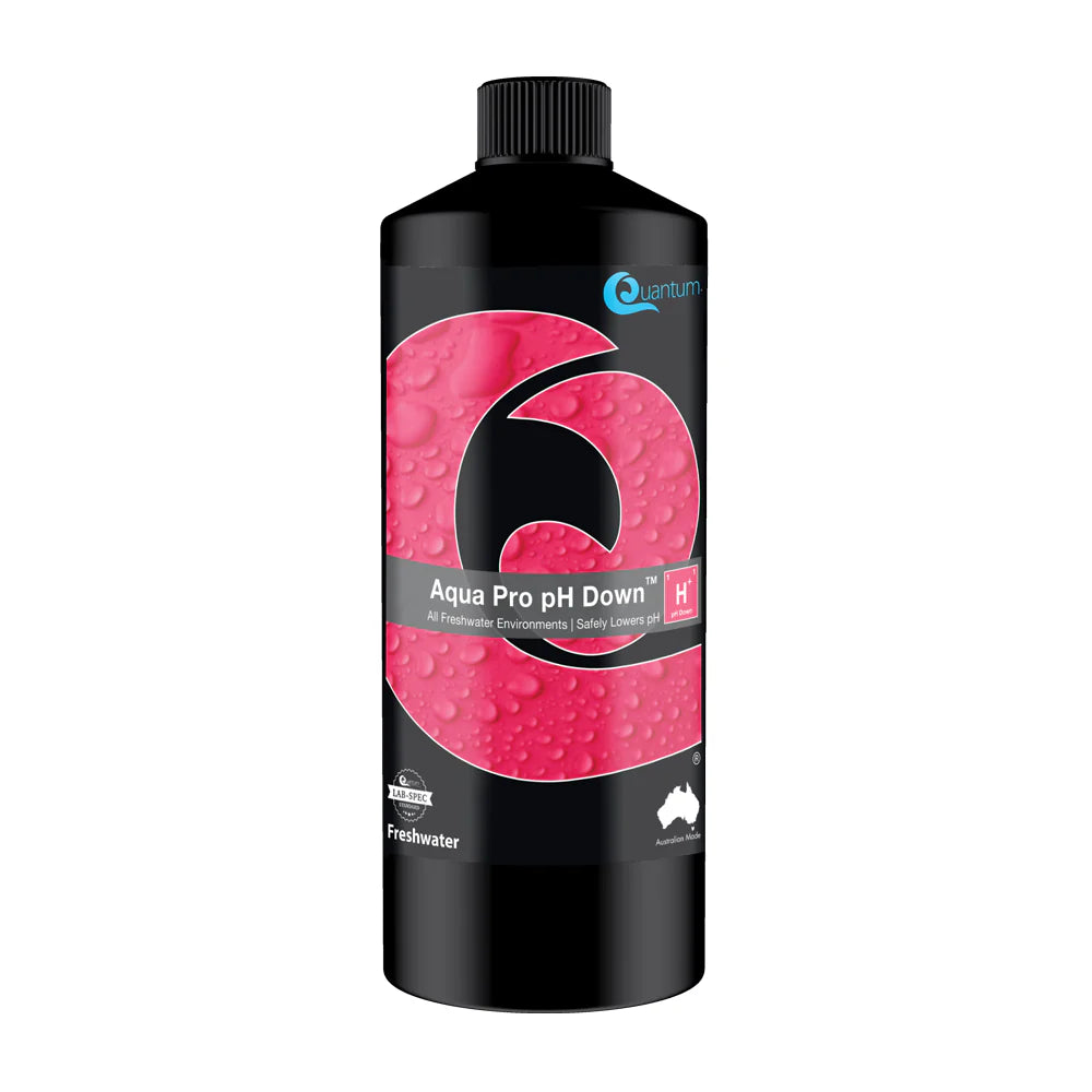 freshwater fish tank supplies