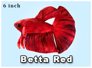 Red Betta Fish Plush Natural Environment Aquatix
