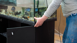 How do I move my fish tank?