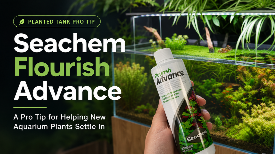 🌿 PRO TIP: Help New Plants Settle In Faster!