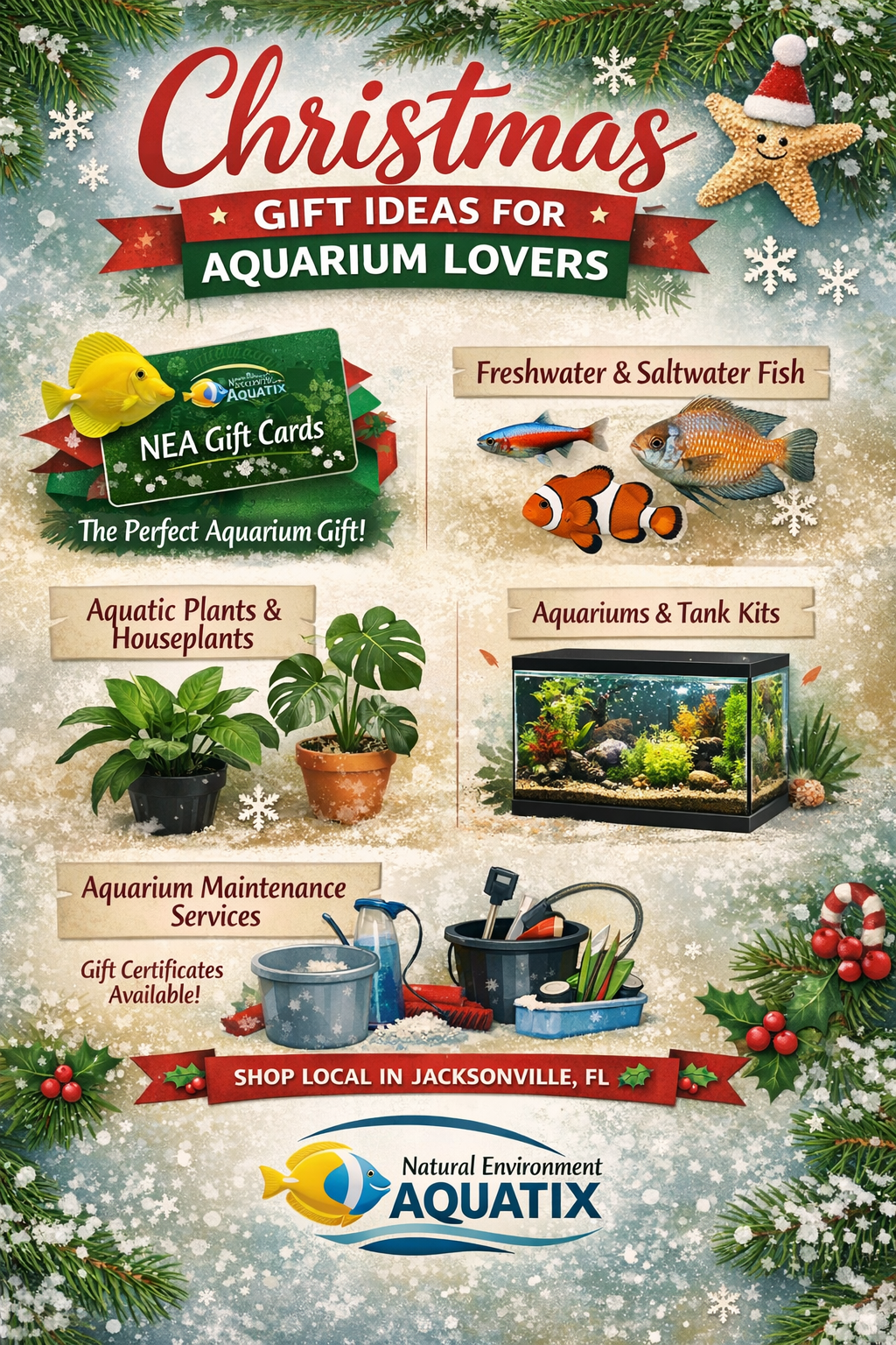 🎄 Christmas Gift Ideas for Aquarium Lovers from Natural Environment Aquatix