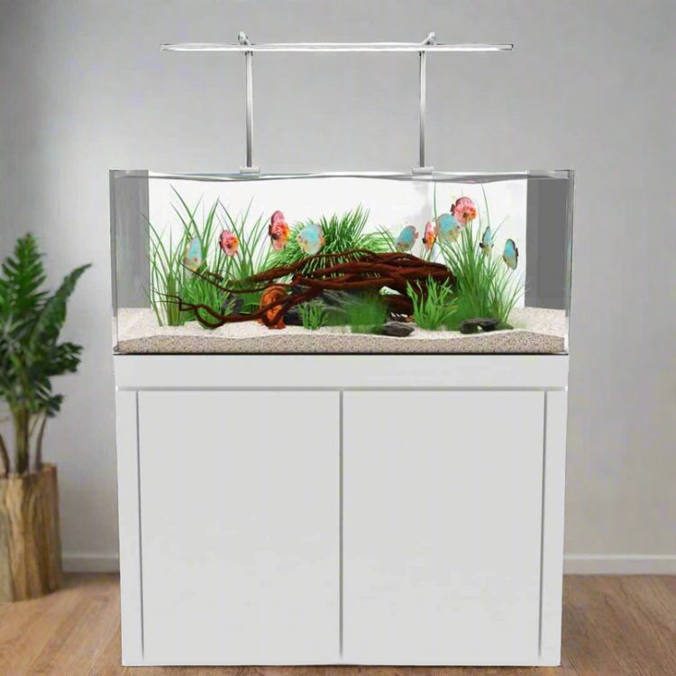 Fish Tank Aquarium 