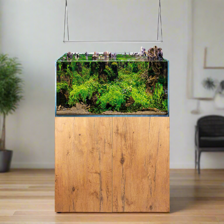 Fish Tank Aquarium 