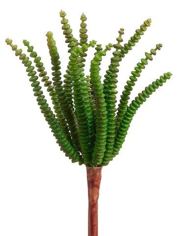 7.4" Worm Succulent Pick Green