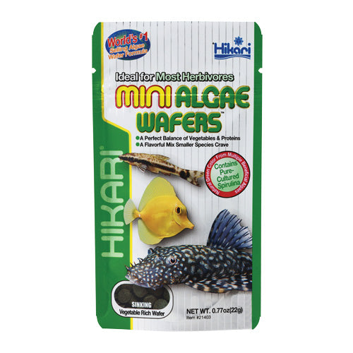 Hikari Mini Algae Wafers