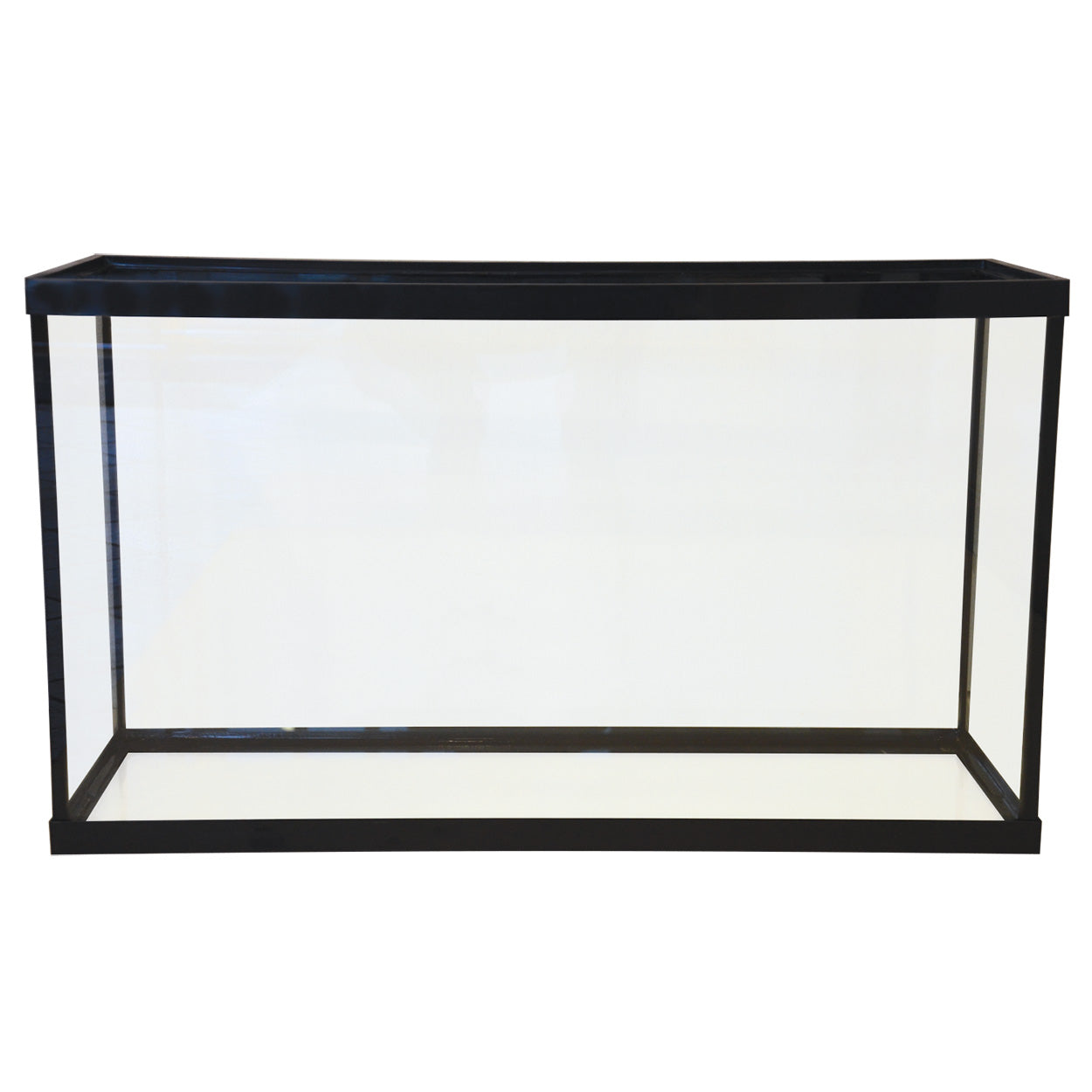 Standard Aquarium - Black Frame - 20 gal - Long - Clear Silicone