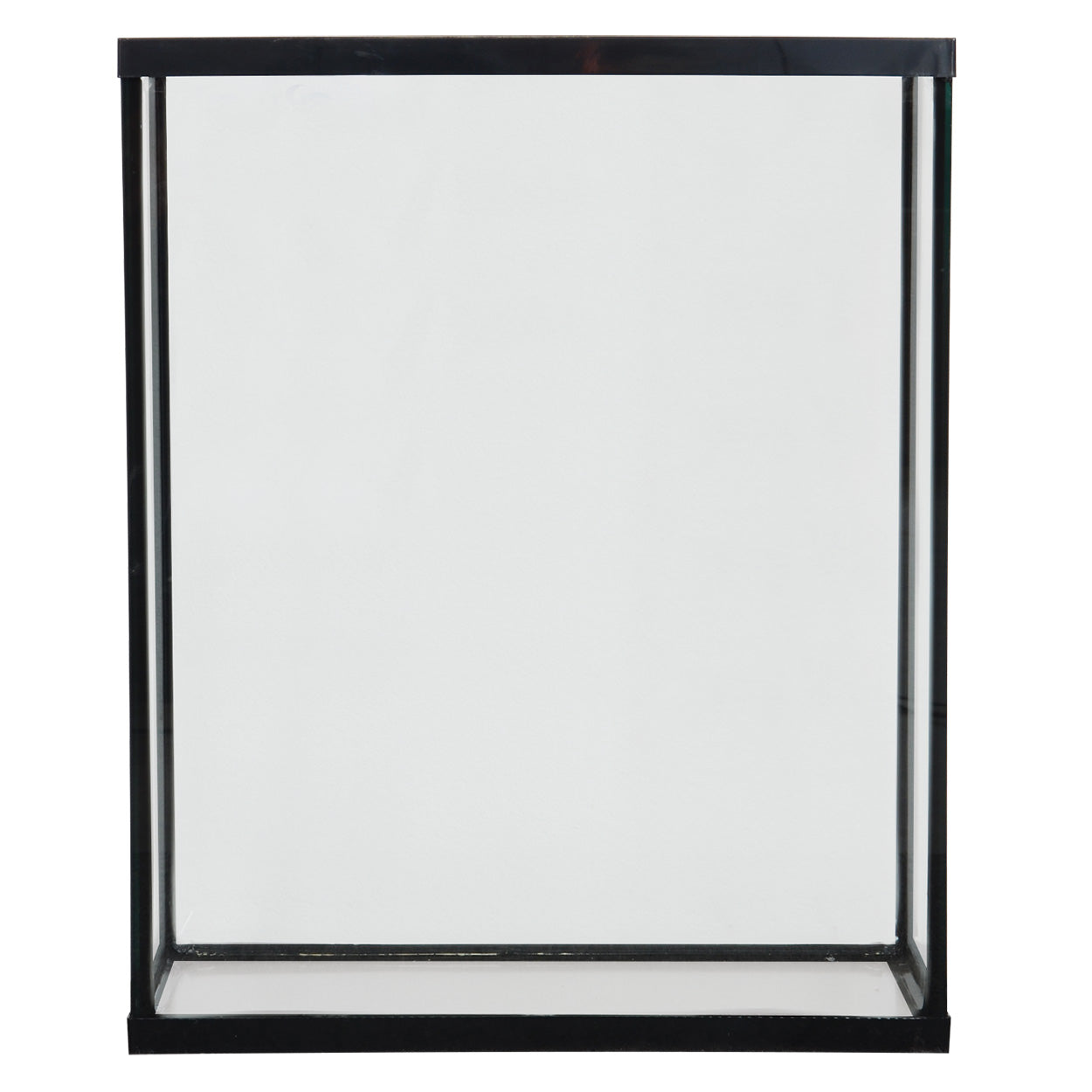 Seapora Aquarium - Black Frame