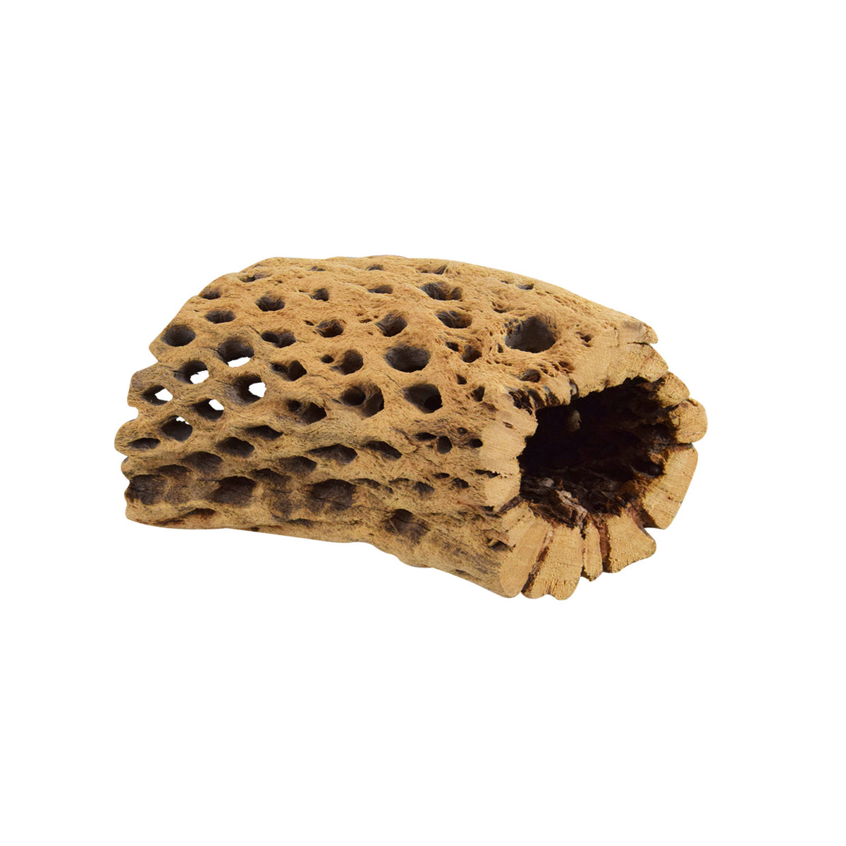 UNDERWATER TREASURES Small Cholla Tunnel - Small - 4"