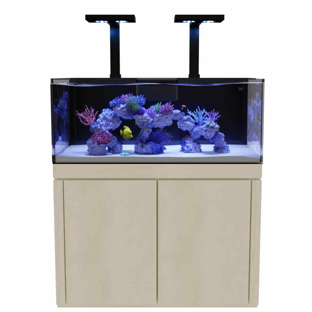 Aquarium kits hotsell with stand