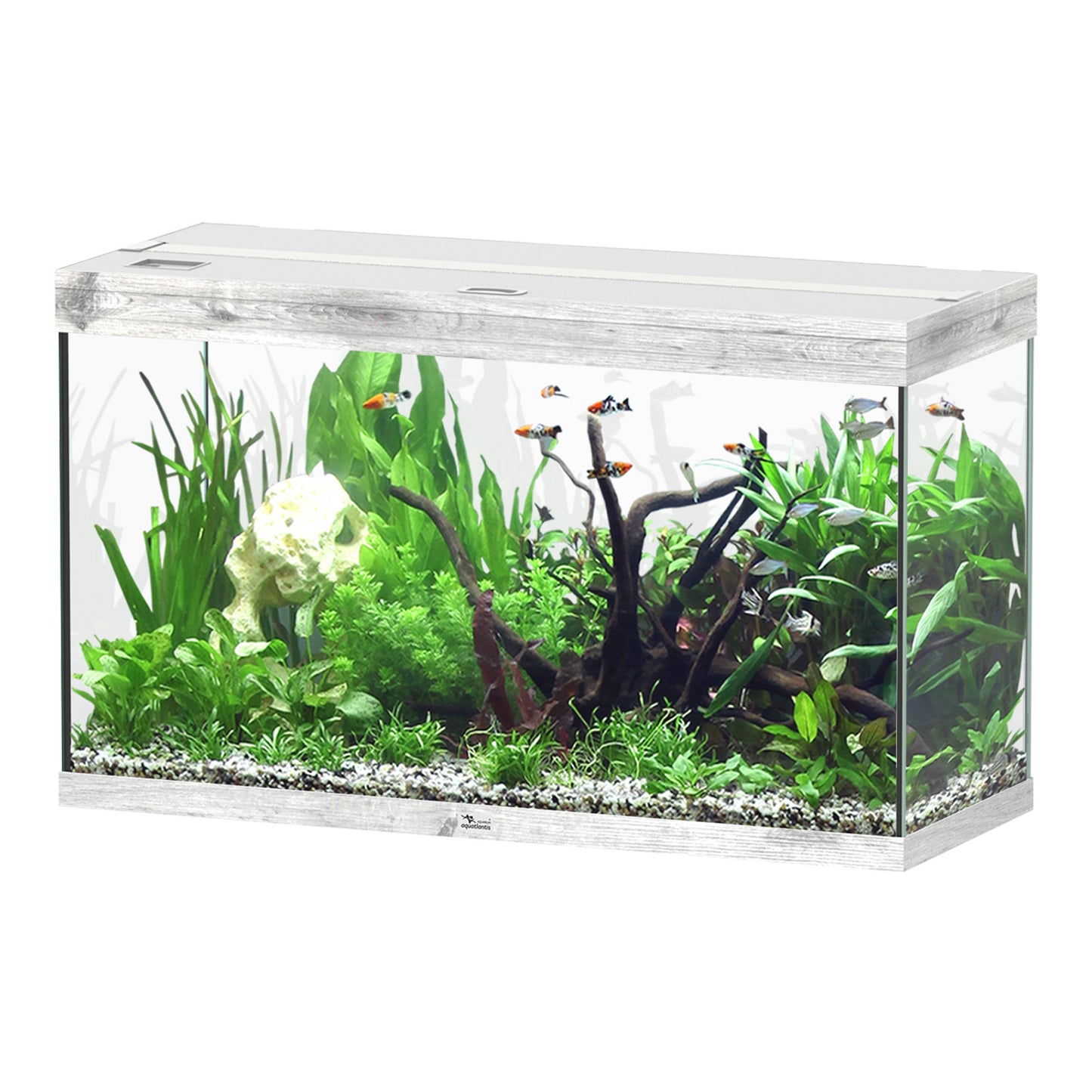AQUATLANTIS Splendid Ultra 100 Tank