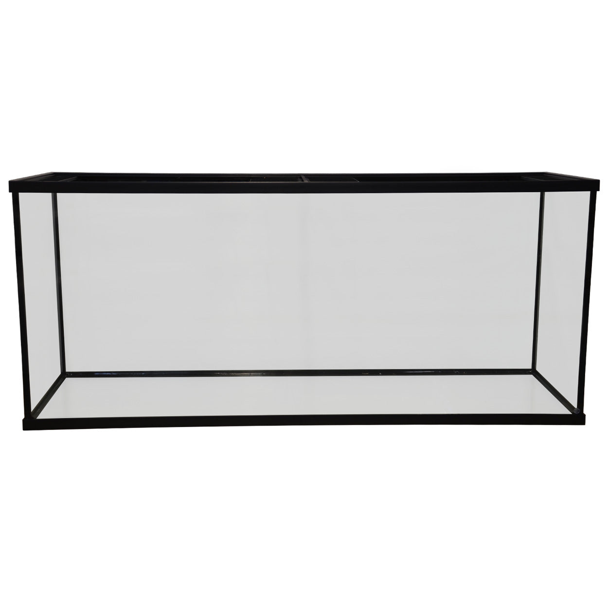 Standard Aquarium - 90 gal – Natural Environment Aquatix