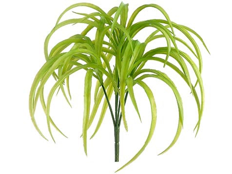 10" Rain Tree Grass Bush Green
