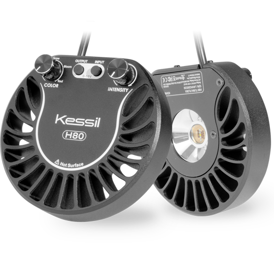 Southside Jacksonville 