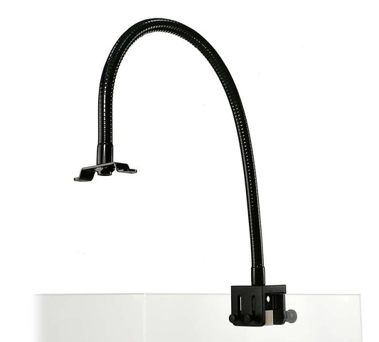 Southside Jacksonville 