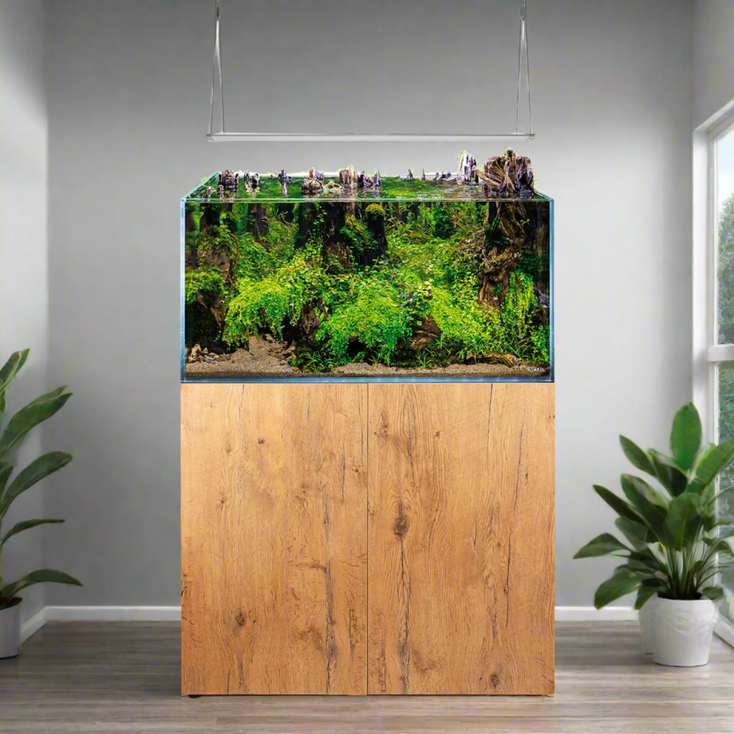 Aquarium Services & Installation – Natural Environment Aquatix