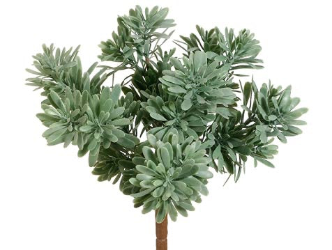 9" Plastic Succulent Frosted Green