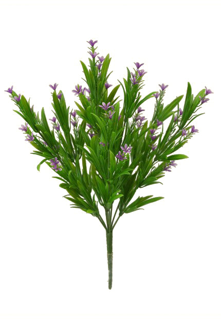 16" Pteris Star Flower/Lavender Bush Purple