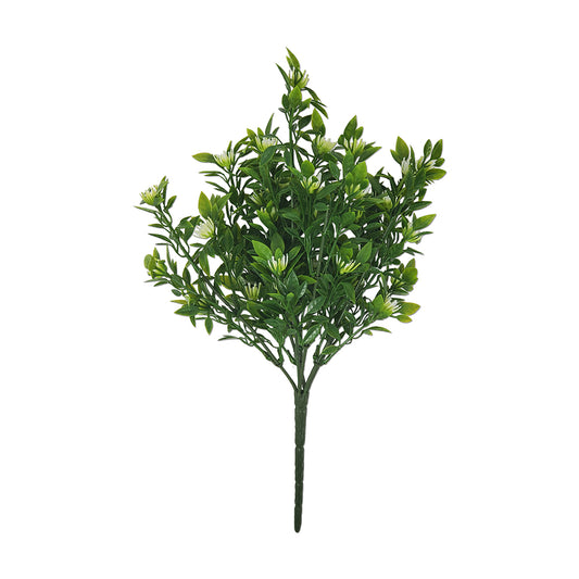 13" Apricot Blossom / Tea Leaf Mix Bush - CR