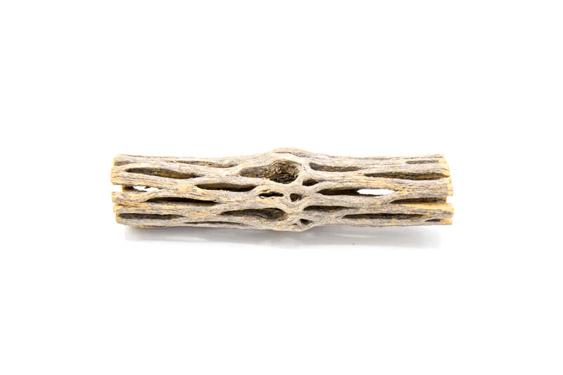 UNS - Cholla Driftwood Sticks