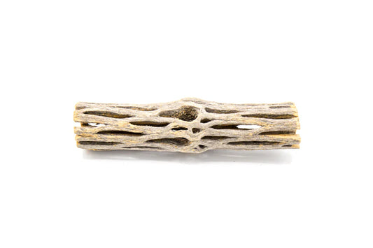 UNS - Cholla Driftwood Sticks