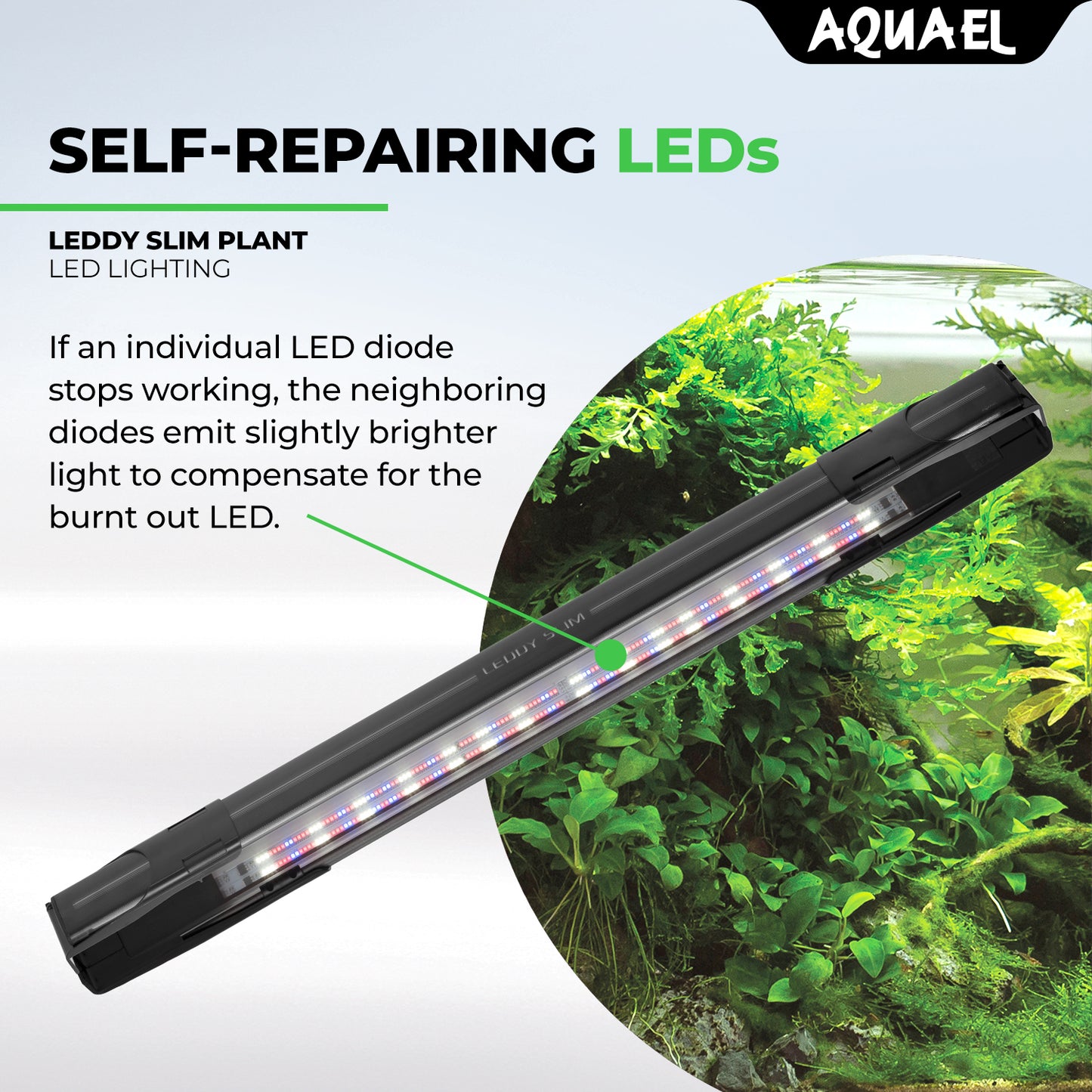 AquaEl Leddy Slim Plant