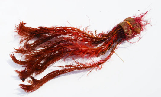 Myriophyllum Tuberculatum Premium