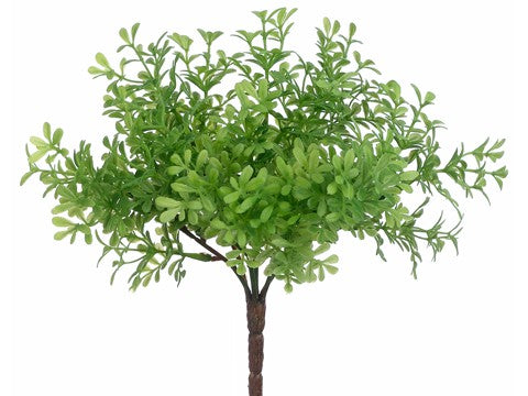 8" Thyme Bush Green