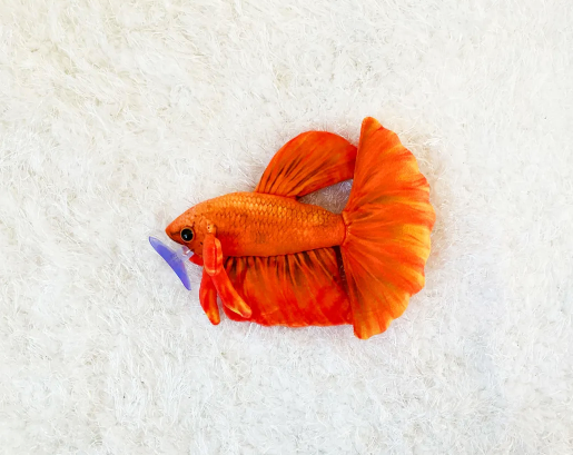 Orange Betta Plushie