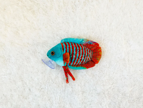 Dwarf Gourami Plushie