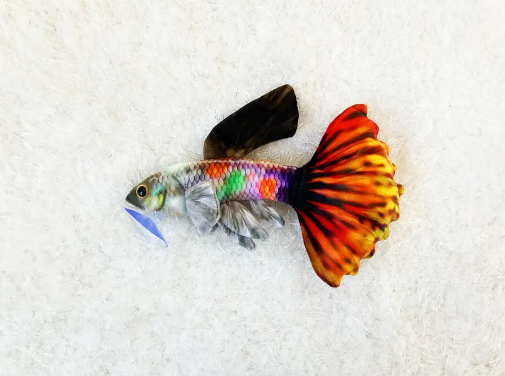 Polychrome Guppy Plushie