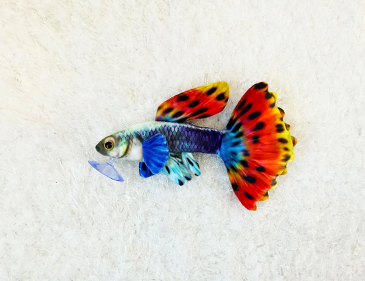 Spettro Guppy Plushie