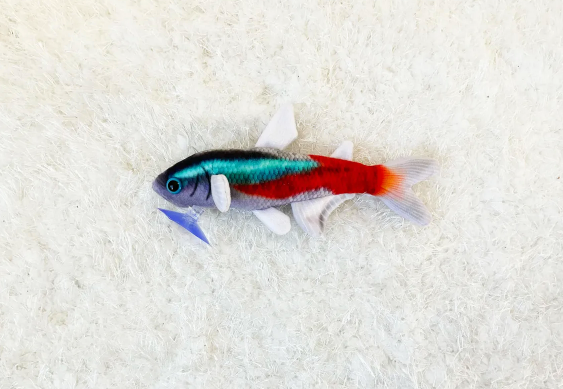 Night Neon Tetra Plushie