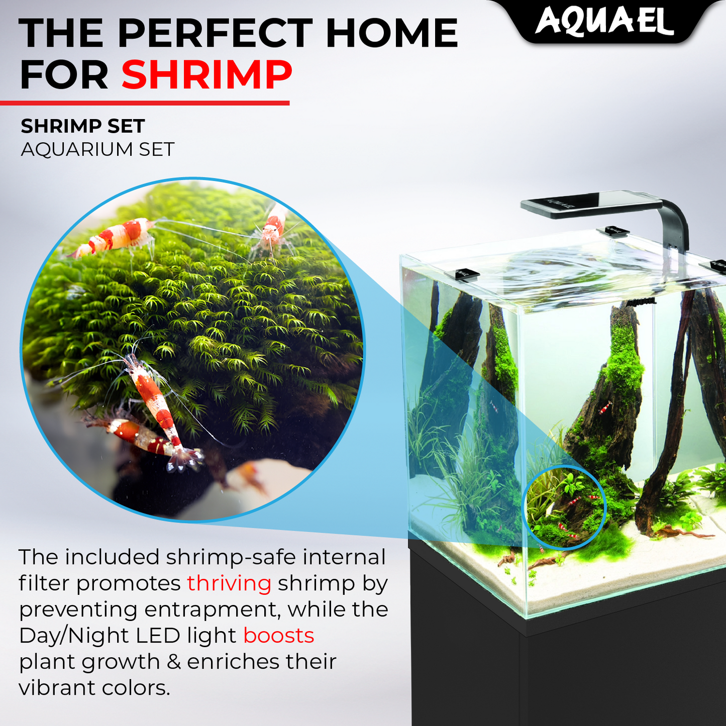 AquaEl Shrimp Set Black