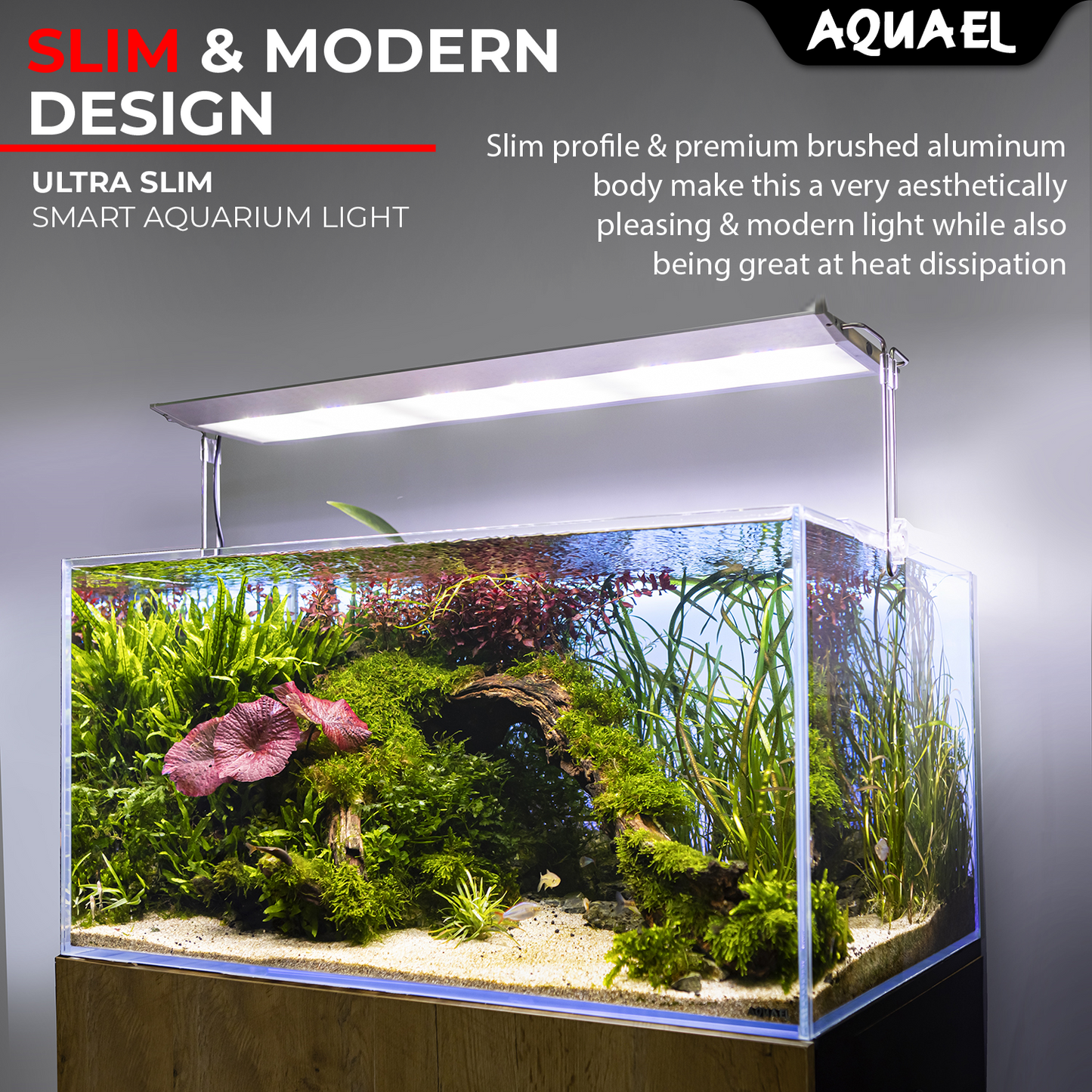 AquaEl Ultra Slim Light