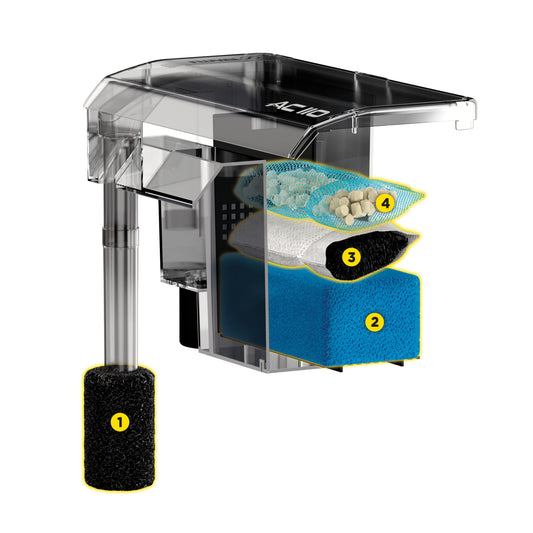 fish store Jacksonville FL