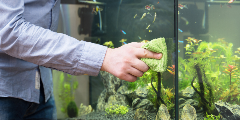 aquarium maintenance services in Jacksonville Beach