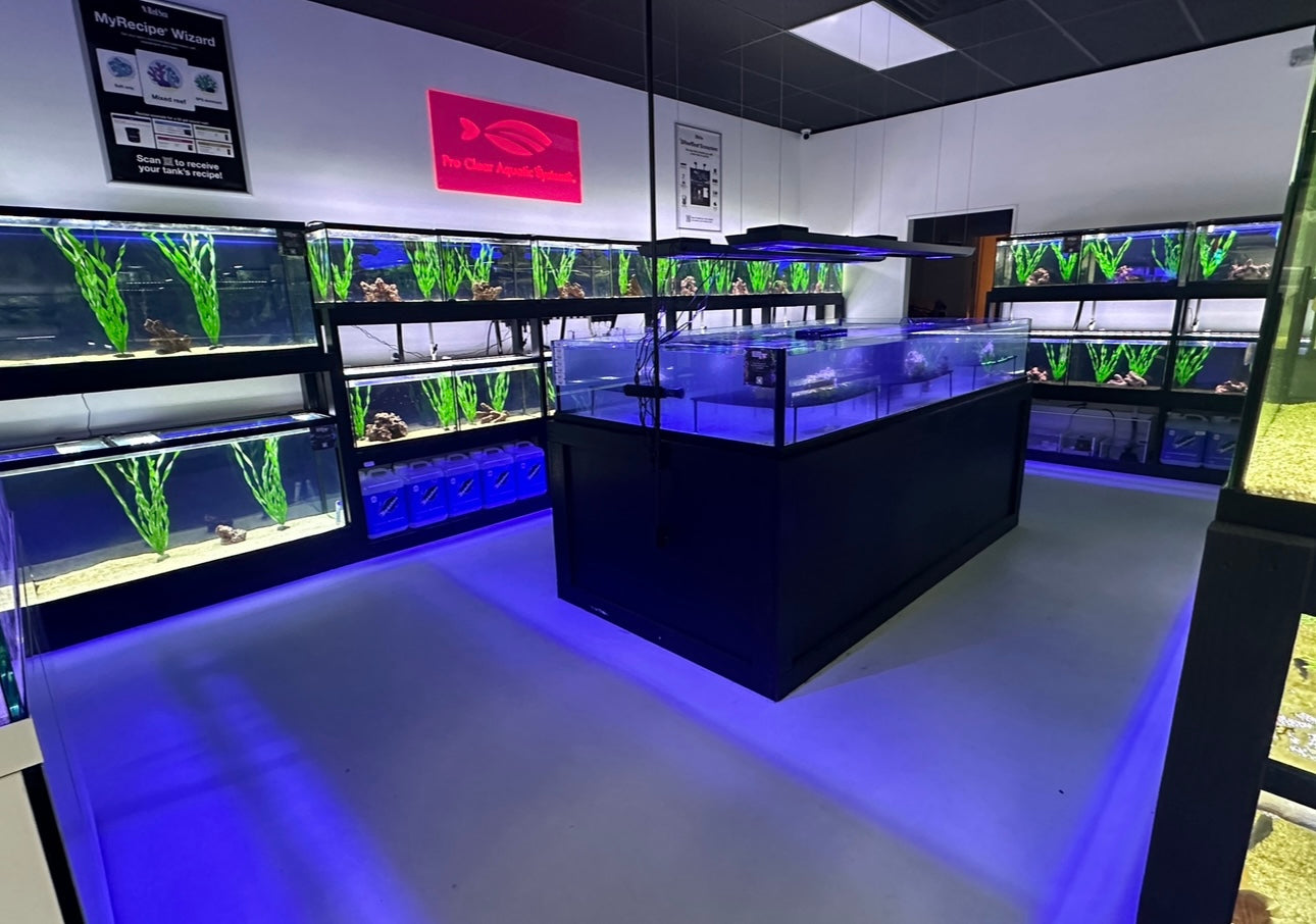 fish accessories shop Tolead Metal Aquarium Tank Stand with Cabinet, Storag Tolead Upgrade your aquarium setup with the HOOBRO Fish Tank Stand ! Fish Hub