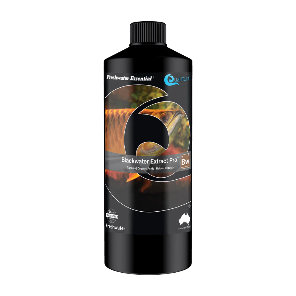 freshwater fish tank supplies 