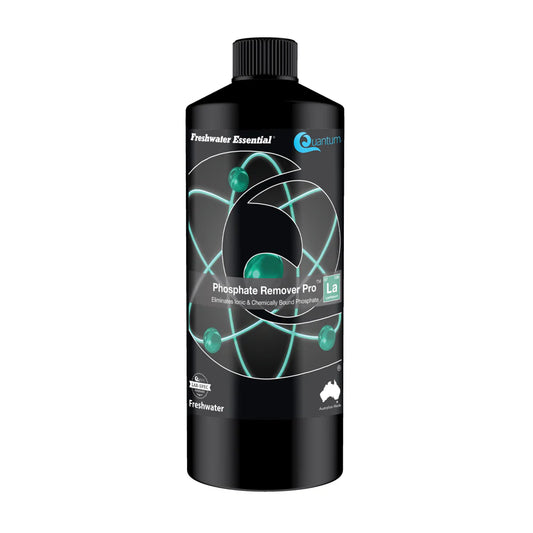 freshwater fish tank supplies 