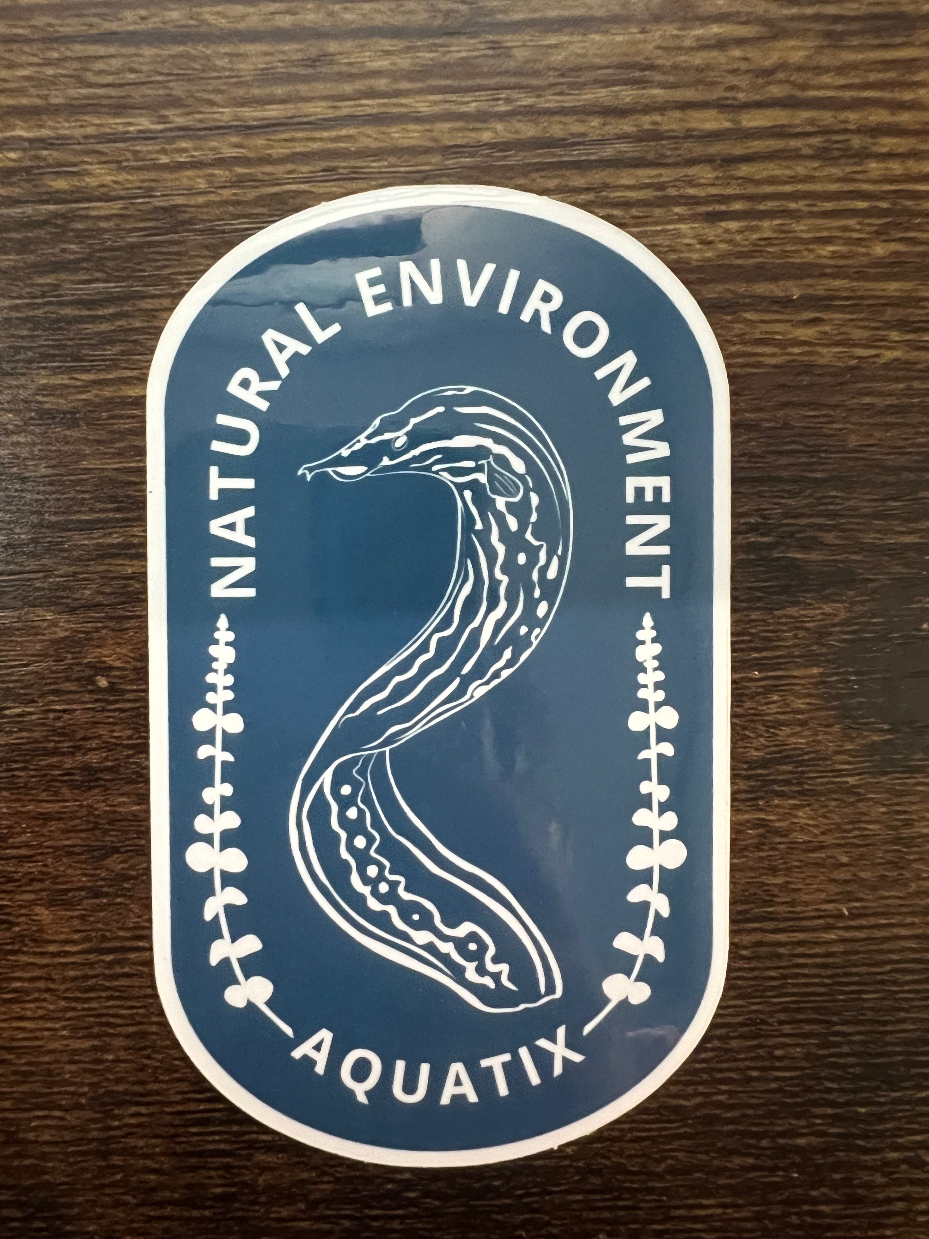 Fire Eel Water Proof Sticker – Natural Environment Aquatix