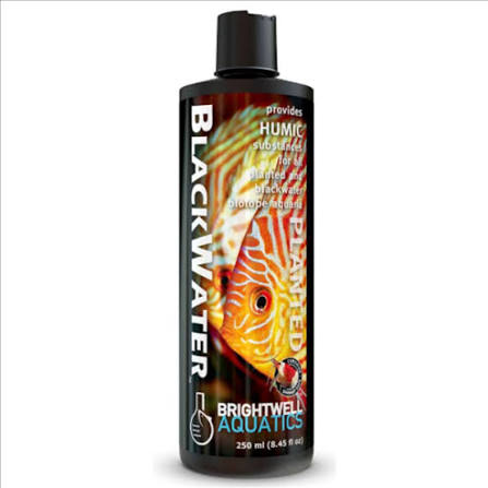 Brightwell Blackwater