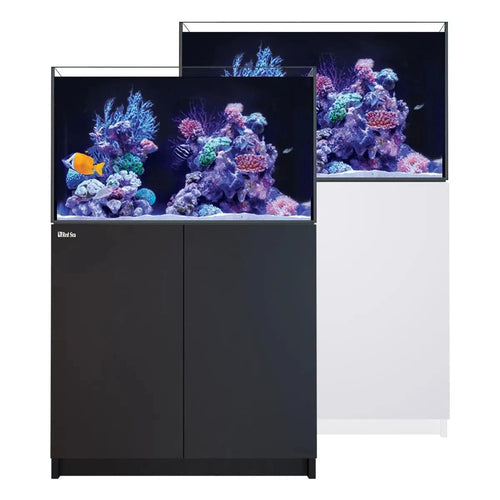 Red Sea Reefer G3