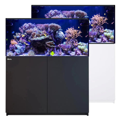 Red Sea Reefer G3