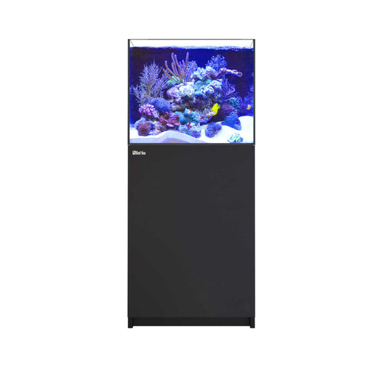 saltwater fish tanks Jacksonville FL