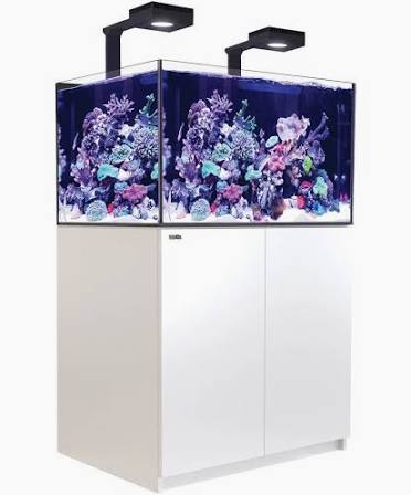 Red Sea Reefer  XL 300 G2+ System (65 Gal)